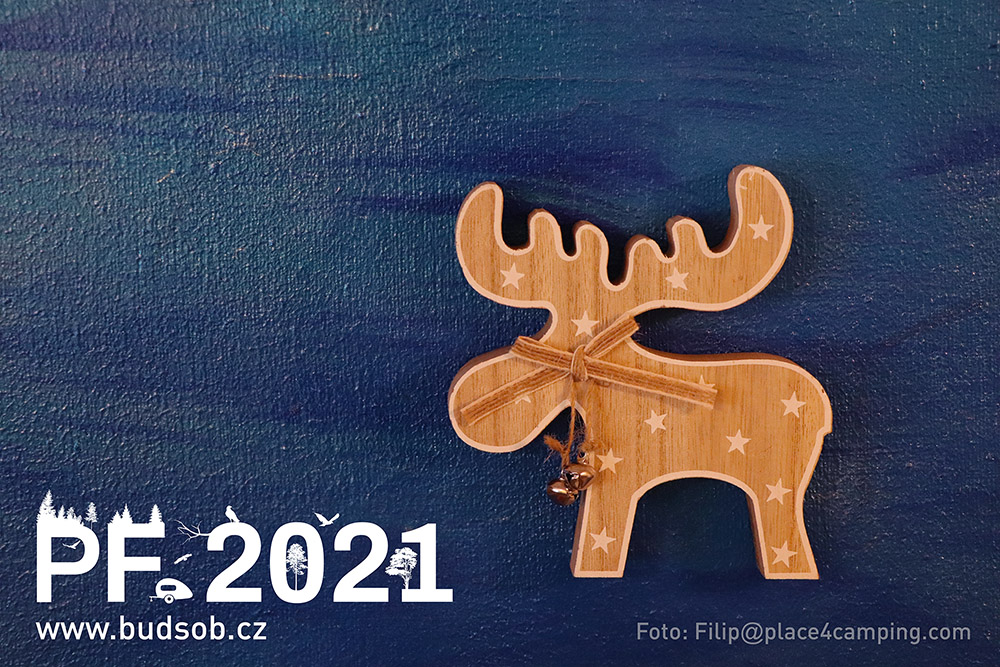 Pour Félicité 2021